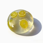 Moldable Kiwi Squishy