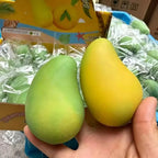 Kiwi & Watermelon Slushy Squishy