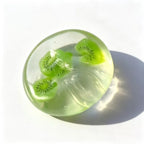 Moldable Kiwi Squishy