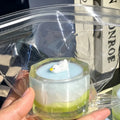 Fruit Smoothie Cup Squishy